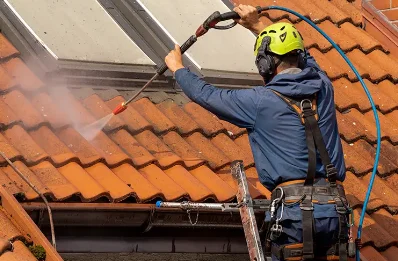 Démoussage et hydrofuge de toiture à Annoisin-Chatelans